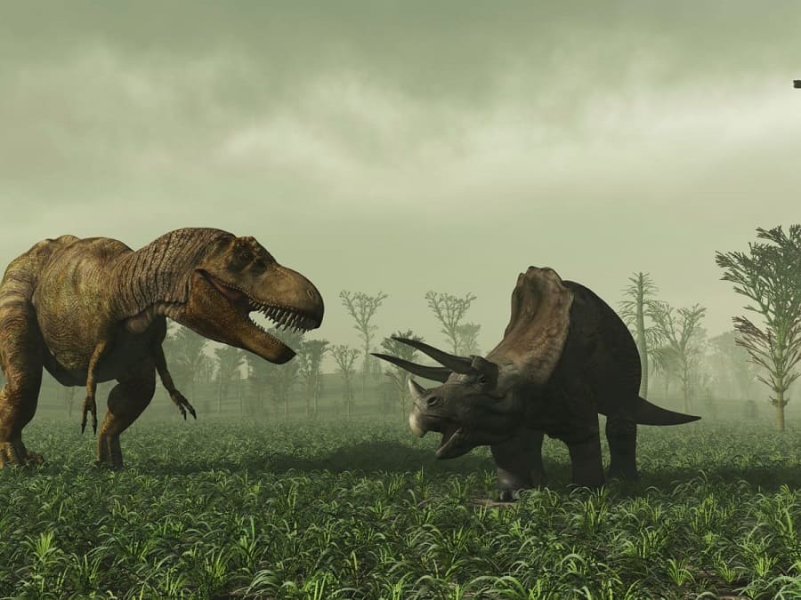 Động vật tiền sử trong tiếng anh